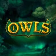 Owls