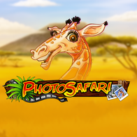 Photo Safari